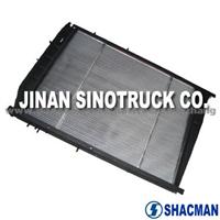 Shacman Auto Parts (dz9112539268)radiator