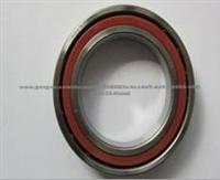 Angular Contact Ball Bearing 7000AC