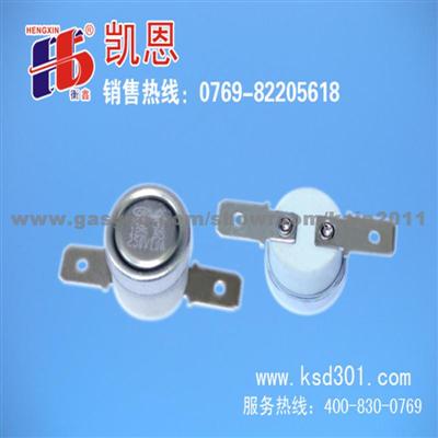 Snap Action Thermostat AC125V 50Hz 15A