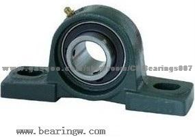 Chrome Steel Pillow Block Bearing UCP200-UCP215