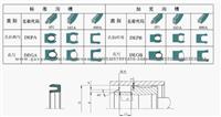 Spring Energized PTFE Seals- DEPA