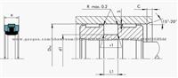 Piston Seals- SPGW