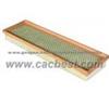 Air Filter CAC-AF8267