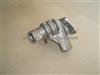 Thermostat Housing Casting