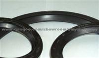 Oil Seal CQ0238