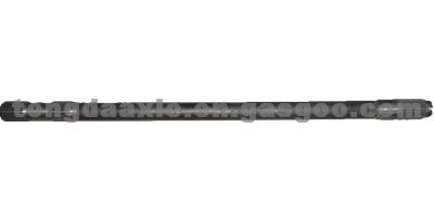 AXLE QT295S62-2403013(LEFT)--(1124)