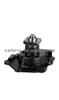 Water Pump FOR FORD EPW20