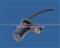 Speed Sensor,Wheel Speed Sensor,Gearbox Sensor