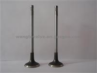 AVL Exhaust Valve