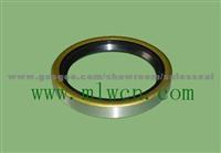 Auto Oil Seal Independent Brand