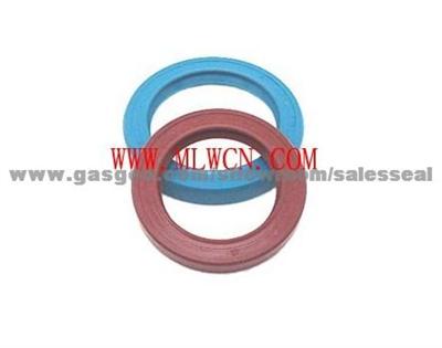 Nonstandard FKM Oil Seal