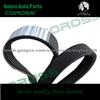 Poly V Belt