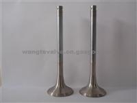 WD618 (Europer III) Exhaust Valve