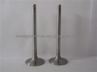 WD615 (Europe II) Exhaust Valve 614600050025