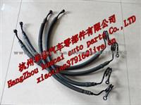 Power Steering Hose PASSAT B5