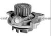 AUTO Water Pump FOR AUDI/SEAT 074121005N