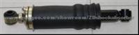 Volvo Shock Absorber 3172984