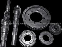 Gear / Shaft