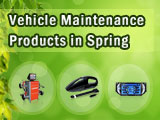 Spring Vehicle Maintenance