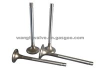 Marine Engine Valve