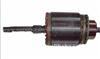 Bosch WAI 61-9104 IM162 Armature