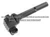 Ignition Coil 8-97136-325-0