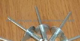 Blind Rivets With Cap 16mm ANDA011