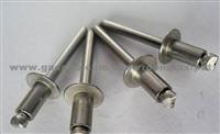 Stainless Steel Blind Rivet PAT052