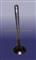 Chery Exhaust Valve