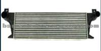 P/A Intercooler BQM005