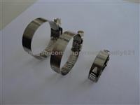 8mm Bandwidth American Hose Clamp MX-06