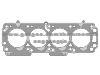 Cylinder Gasket 56 07 444