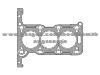 Cylinder Gasket 56 07 058