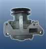 Water Pump 238-1307010