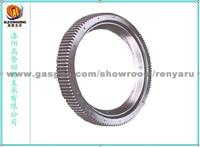 slewing rings slewing drives