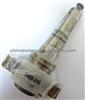 Plunger 2455-318