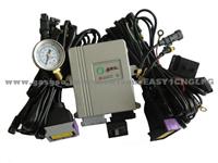 EG700(Same As OMVL) Multipoint Sequential ECU For 4 Cylinder