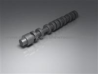 Camshaft 493Q Engine camshaft