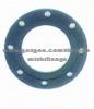 Stainless Steel Standard Din Pipe Flange