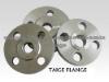 Stainless Steel ANSI Flange