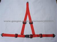 Safety Belt