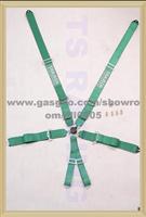 Safety Belts