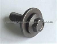 Crankshaft Pulley Bolt