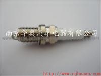 Spark plug 22448-31U06