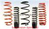 MJ009 Professional Manufacturer Of Automobile Suspension Spring