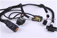 Bosch Diesel ECU Harness
