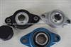 Stainless Steel Pillow Block Bearing P200, P300, AK200