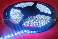 5M 600SMD3528