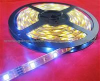 5M 150SMD5050