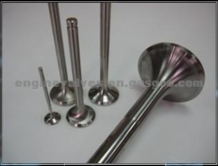 Intake And Exhaust Valve